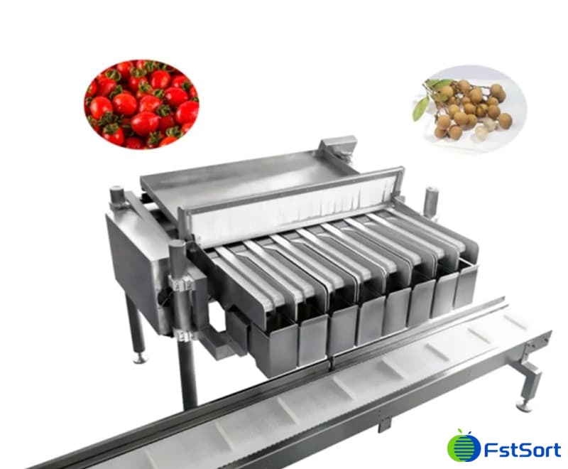 Máquina clasificadora y clasificadora de tomates cherry.jpg Máquina clasificadora y clasificadora de tomates cherry.jpg